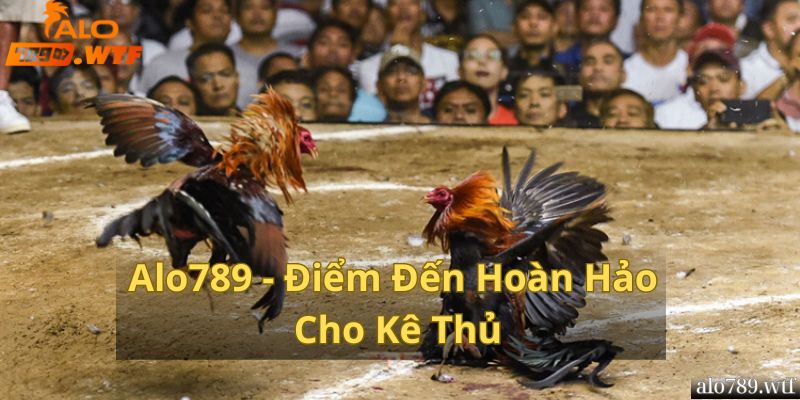 Alo789 - Điểm Đến Hoàn Hảo Cho Kê Thủ