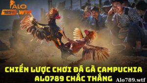 Chiến lược chơi đá gà Campuchia Alo789 Chắc thắng