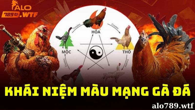 Khái niệm về màu mạng gà đá