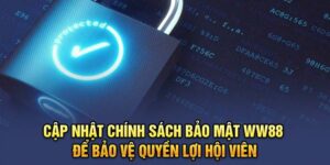 Nguyên tắc vận hành chính sách trong thực tế